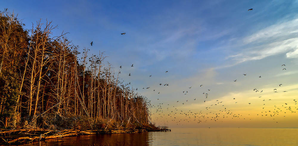 Фотографія Пейзаж / Геннадий Клименко / photographers.ua