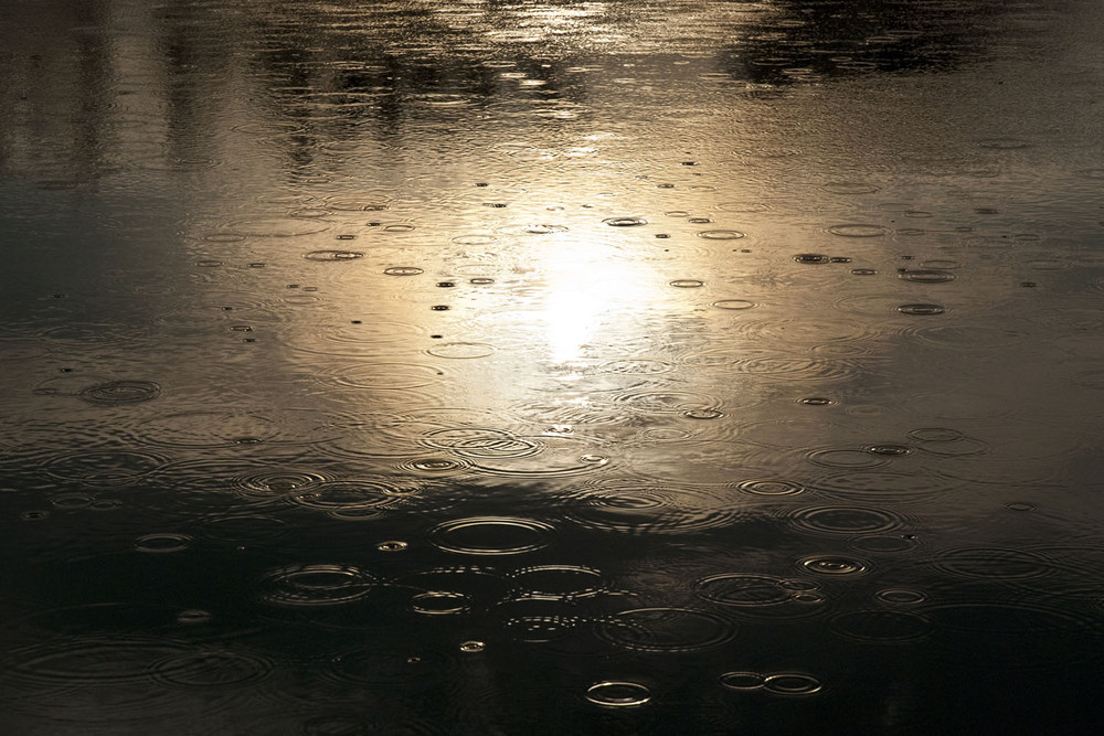 Фотографія Дождь на рассвете / Марина Онуфрієнко / photographers.ua