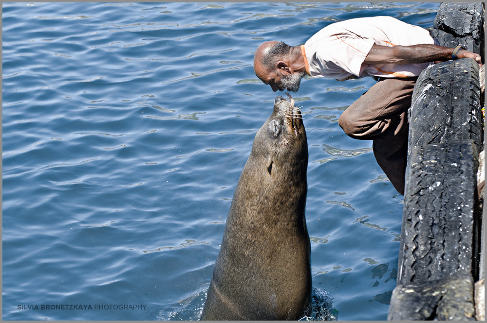 Фотографія Come and kiss my eyes... / Сильвия Бронецкая / photographers.ua