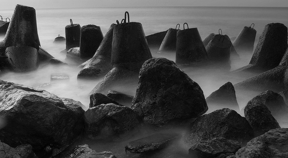 Фотографія морские монстры / Andr-S2007 / photographers.ua
