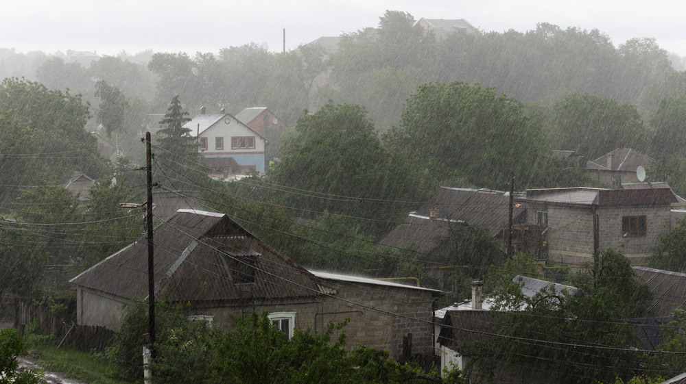 Фотографія Про дождь / Игорь Логинов / photographers.ua