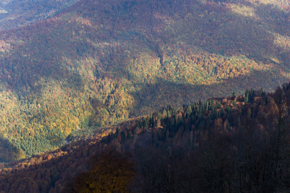 Фотографія Осень в горах / Игорь Логинов / photographers.ua