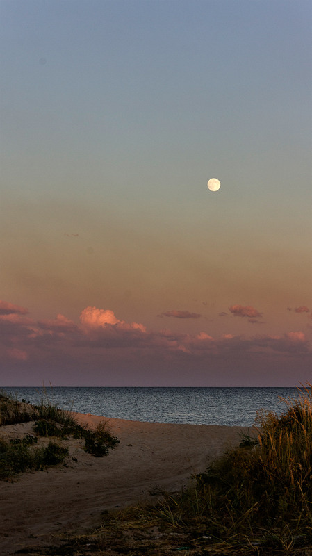 Фотографія * / Игорь Логинов / photographers.ua