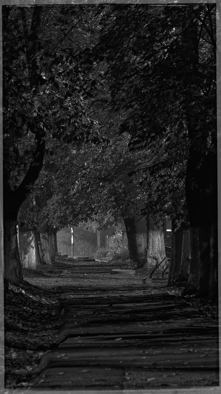 Фотографія Школьная Аллея / Игорь Логинов / photographers.ua