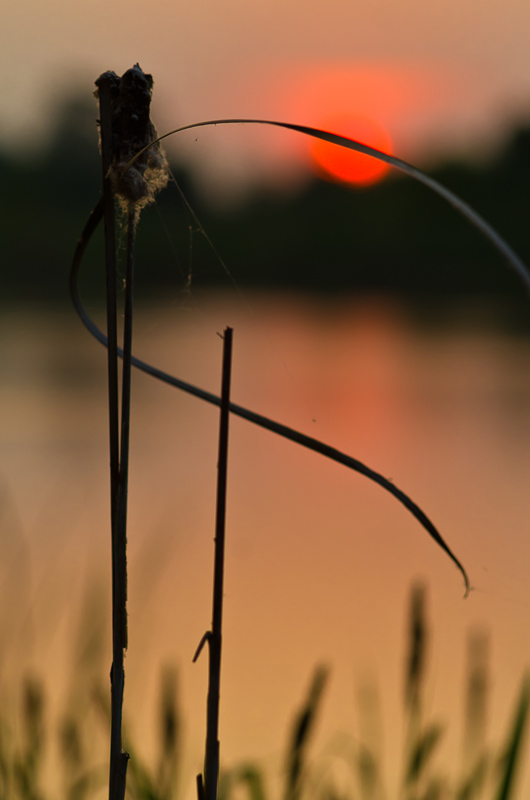 Фотографія Sunset / Андрей Строганов / photographers.ua