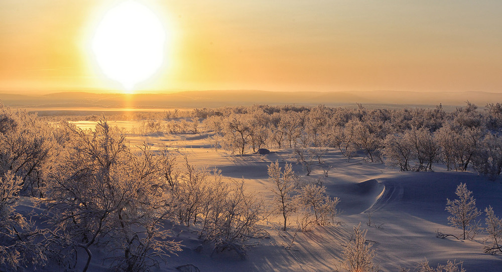 Фотографія Мороз и солнце / Сергей Боженко / photographers.ua