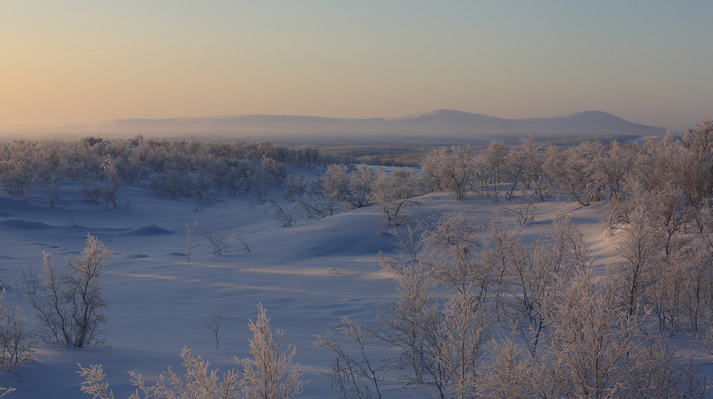 Фотографія Зимний пейзаж / Сергей Боженко / photographers.ua