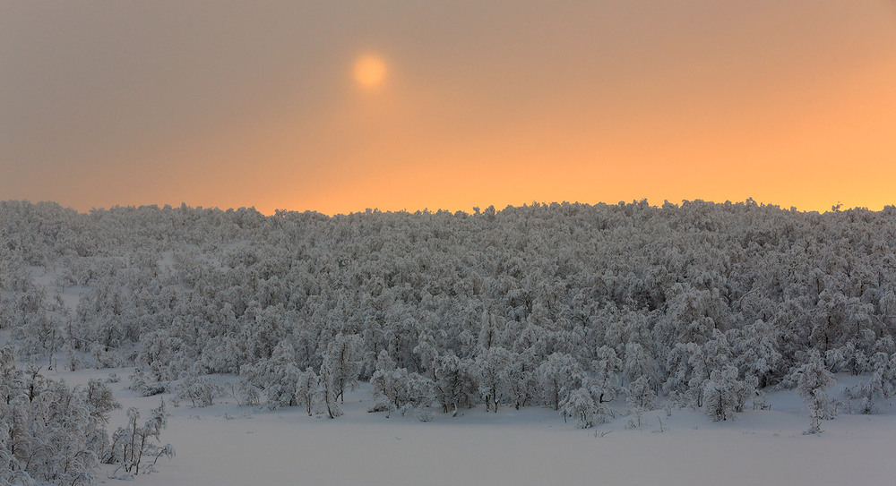 Фотографія Красочная зима / Сергей Боженко / photographers.ua