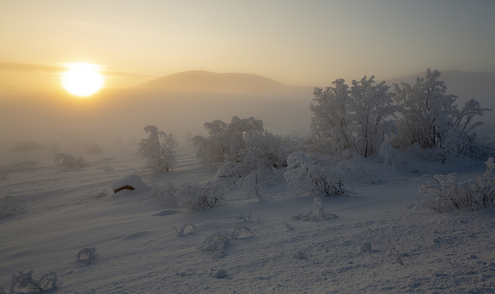 Фотографія Мороз и туман / Сергей Боженко / photographers.ua