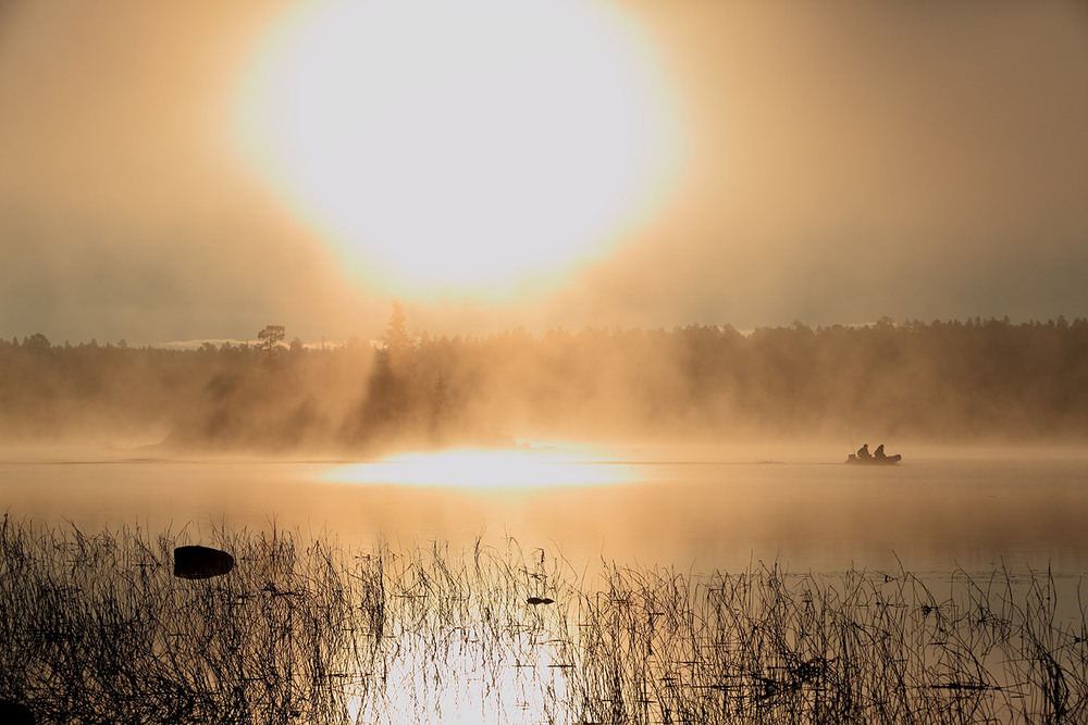 Фотографія Туманное утро / Сергей Боженко / photographers.ua