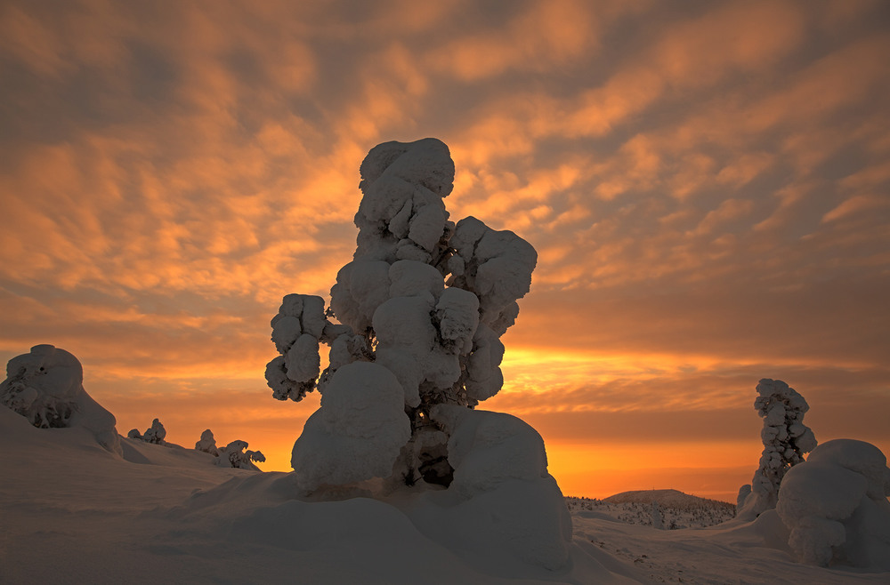 Фотографія Солнце разливает краски / Сергей Боженко / photographers.ua