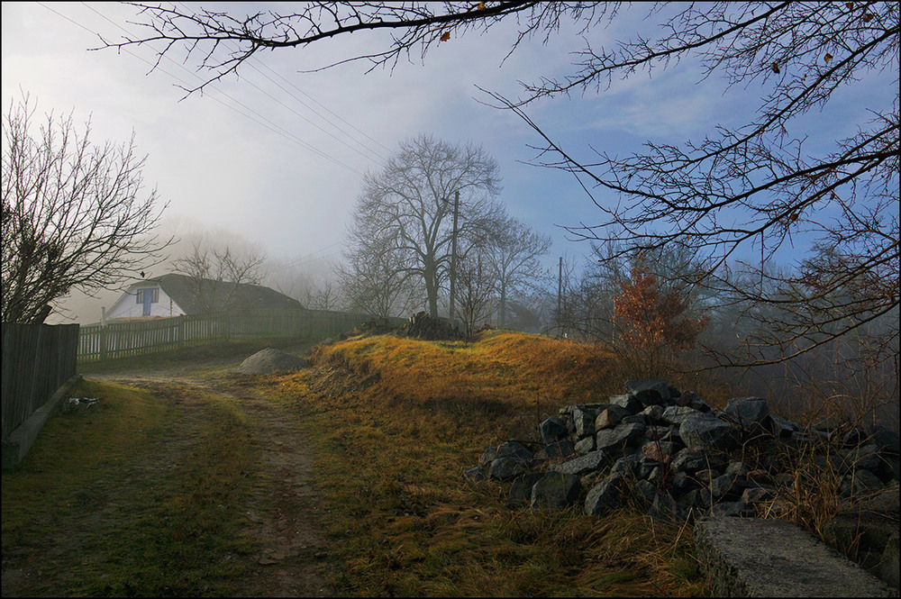 Фотографія Туманным утром на селе / Валерий Савенко / photographers.ua