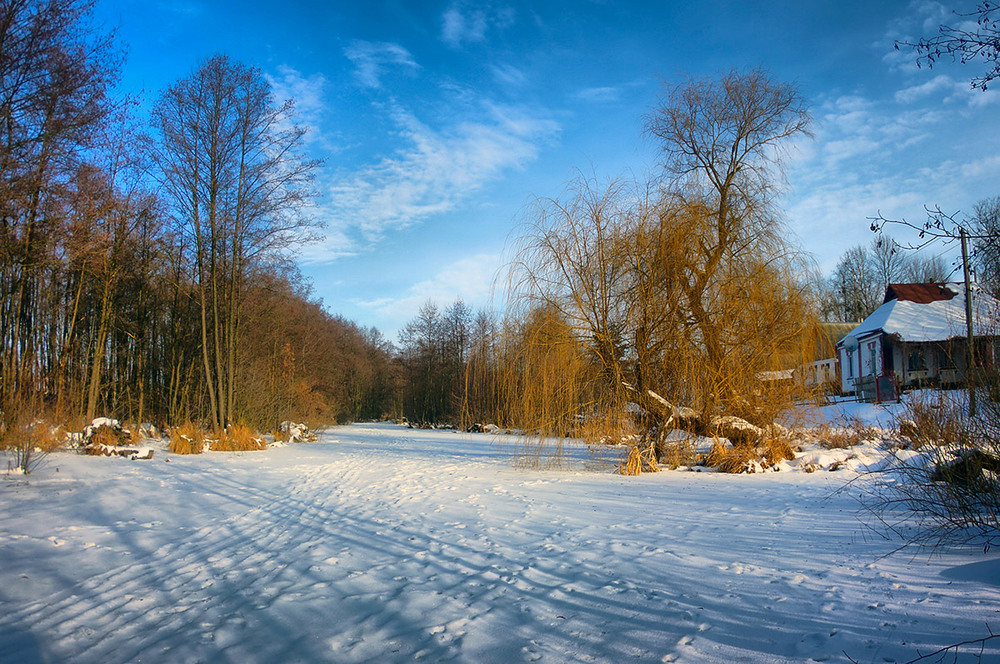 Фотографія На замерзлому ставку / Валерий Савенко / photographers.ua