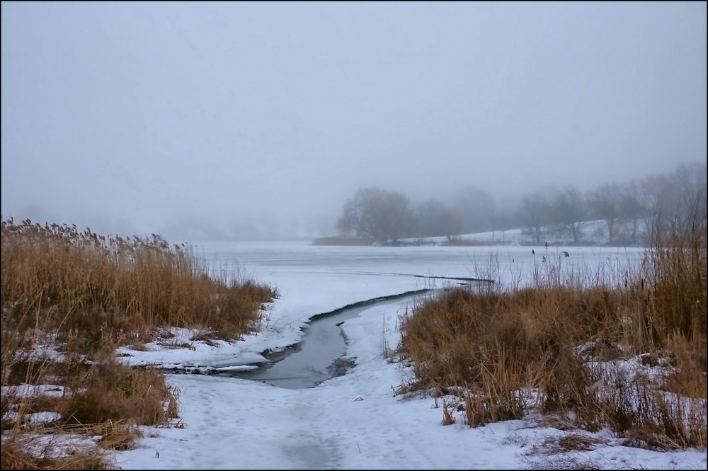 Фотографія Відлига 13.02.26 / Валерий Савенко / photographers.ua