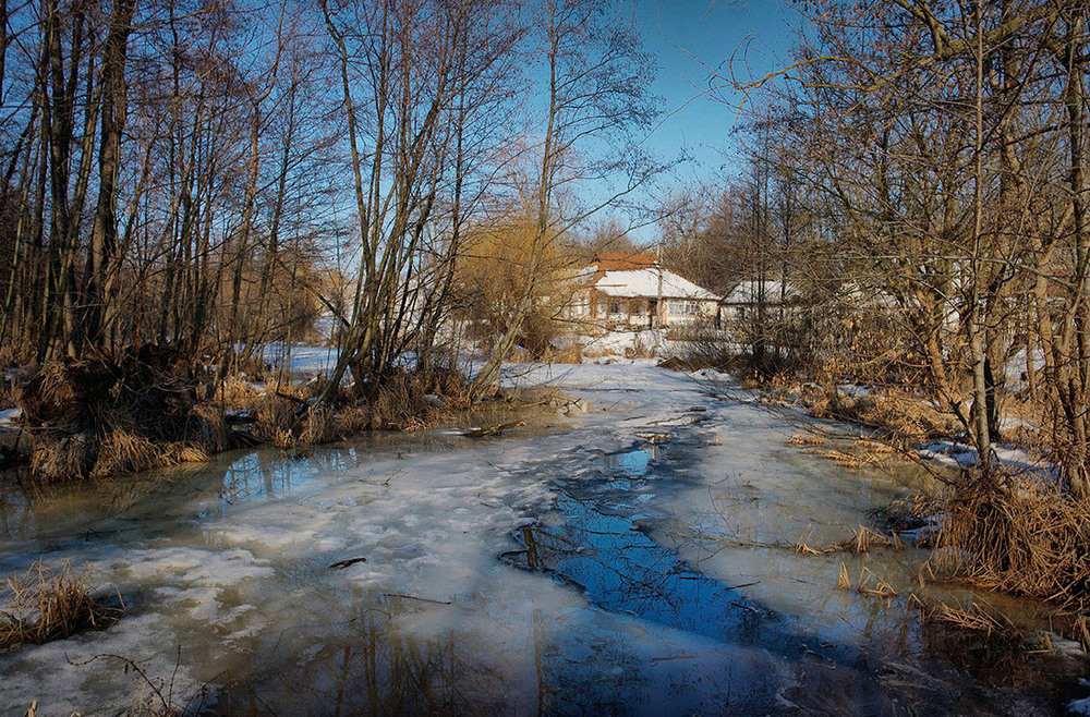 Фотографія Відчуття весни... / Валерий Савенко / photographers.ua