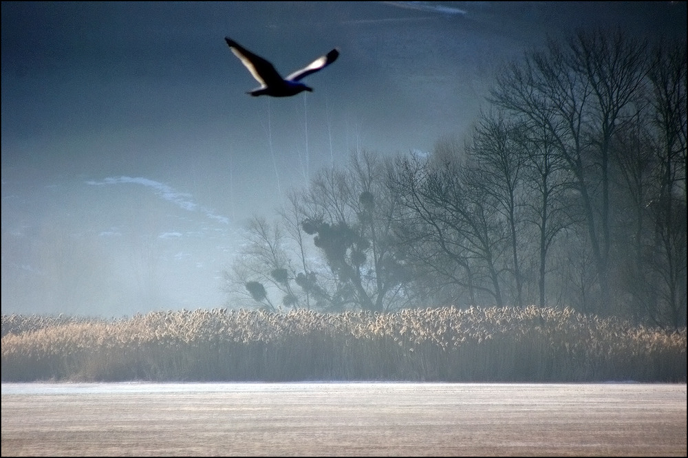 Фотографія Ранок 16.03.26 / Валерий Савенко / photographers.ua