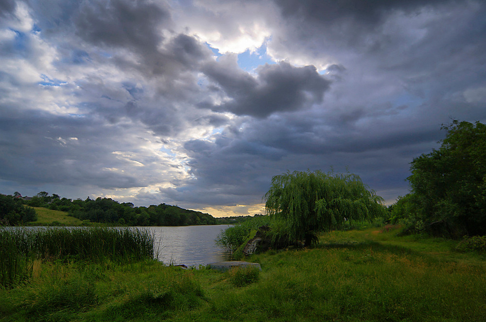 Фотографія Передчуття дощу... / Валерий Савенко / photographers.ua