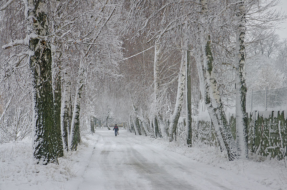 Фотографія Морозний ранок 05.02.2015 / Валерий Савенко / photographers.ua