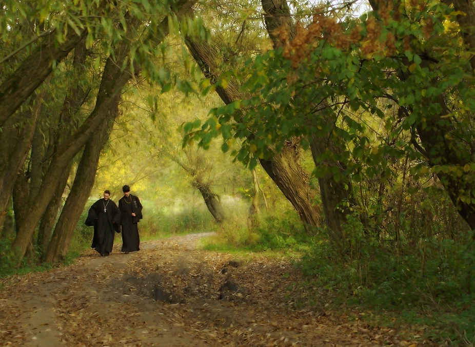 Фотографія Братья во Христе / Валерий Савенко / photographers.ua