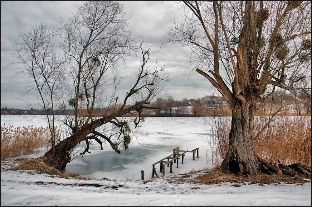 Фотографія У озера / Валерий Савенко / photographers.ua