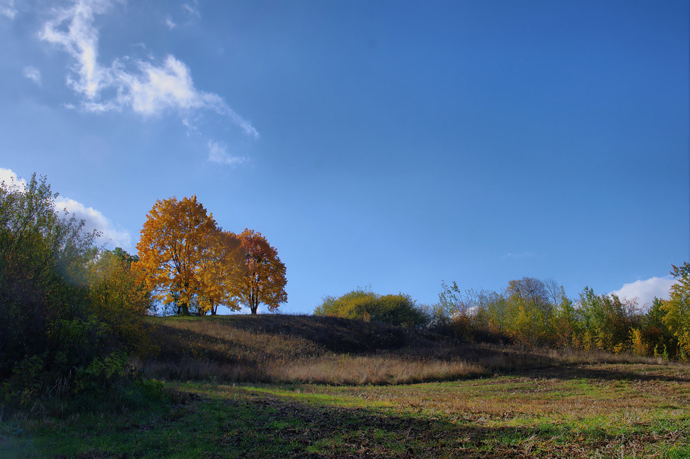 Фотографія *** / Валерий Савенко / photographers.ua