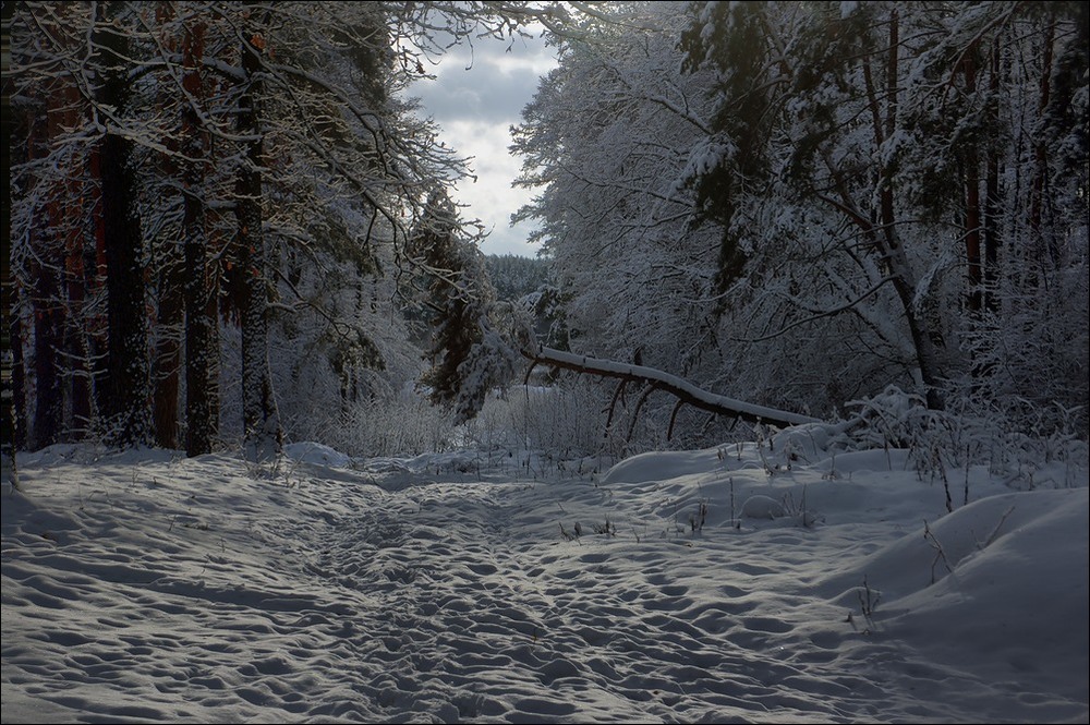 Фотографія *** / Валерий Савенко / photographers.ua