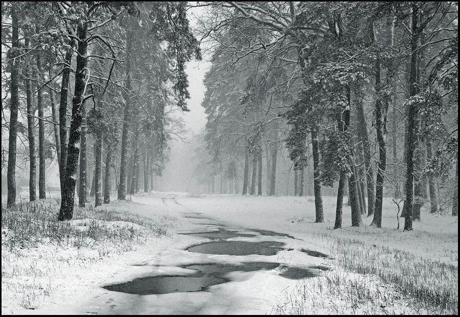 Фотографія *** / Валерий Савенко / photographers.ua