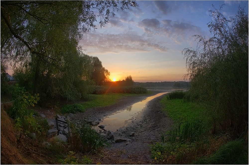 Фотографія Засихаючий ставок 2 / Валерий Савенко / photographers.ua