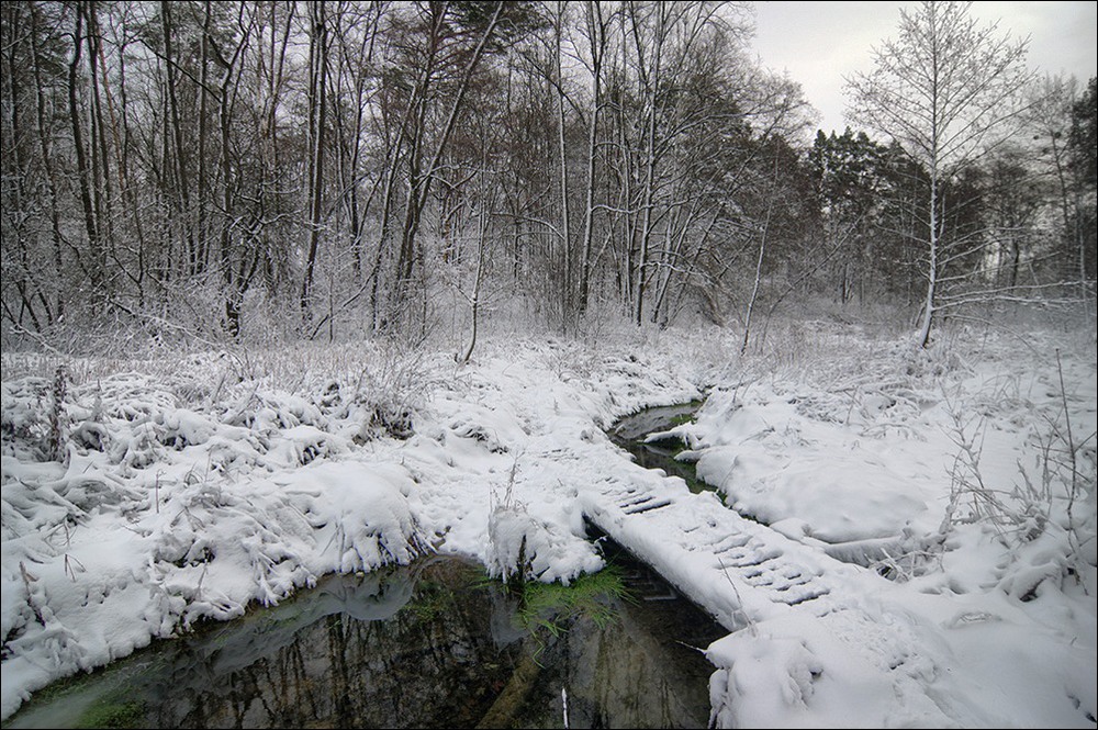 Фотографія *** / Валерий Савенко / photographers.ua