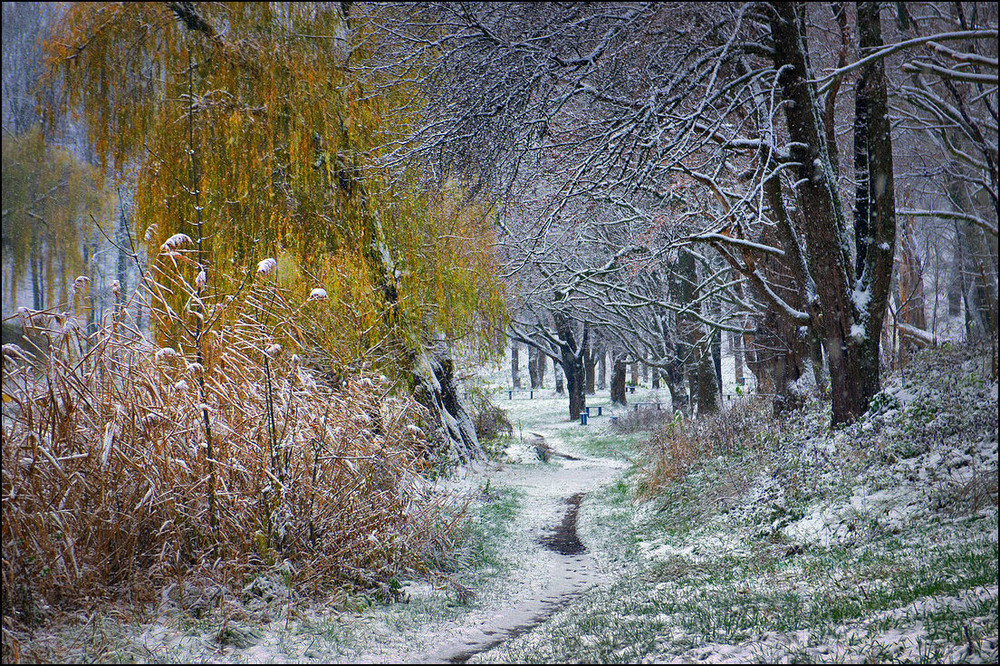 Фотографія Перший сніг / Валерий Савенко / photographers.ua