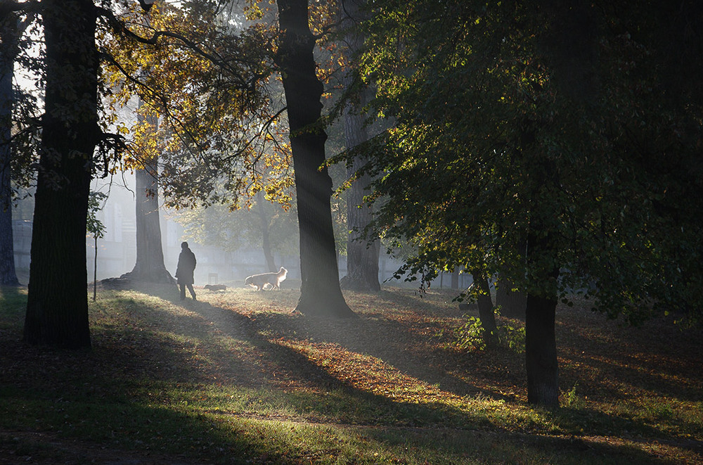 Фотографія Ранок 18.10.16 / Валерий Савенко / photographers.ua