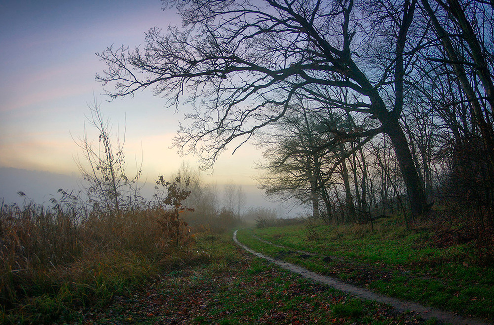 Фотографія Вечір 10.12.25 / Валерий Савенко / photographers.ua