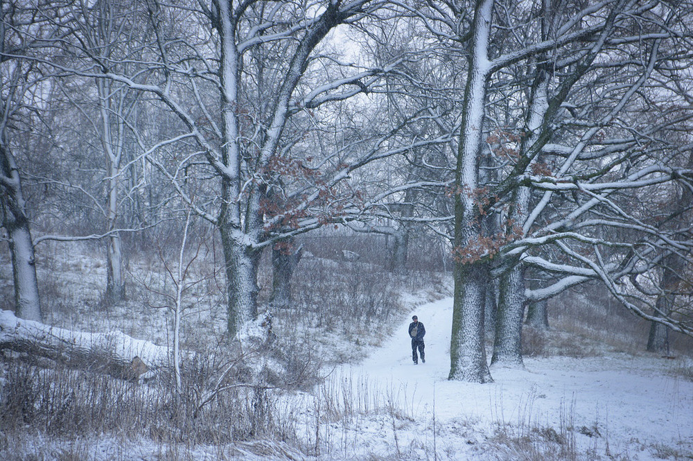 Фотографія Пейзаж / Валерий Савенко / photographers.ua