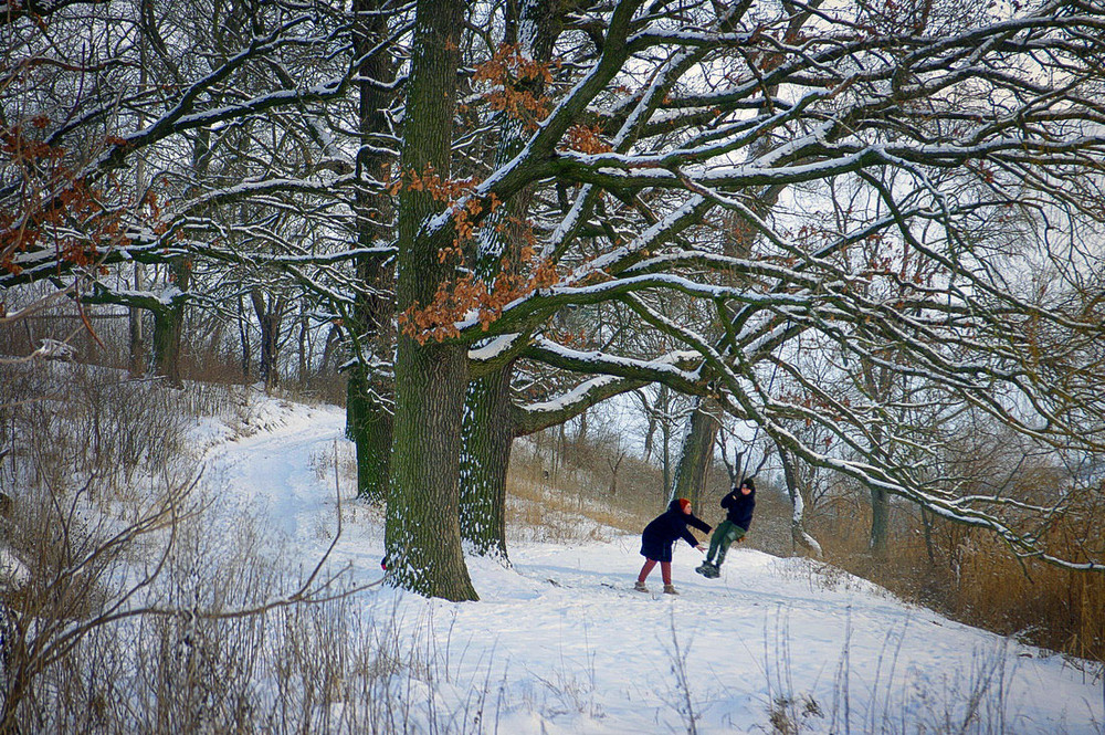 Фотографія *** / Валерий Савенко / photographers.ua
