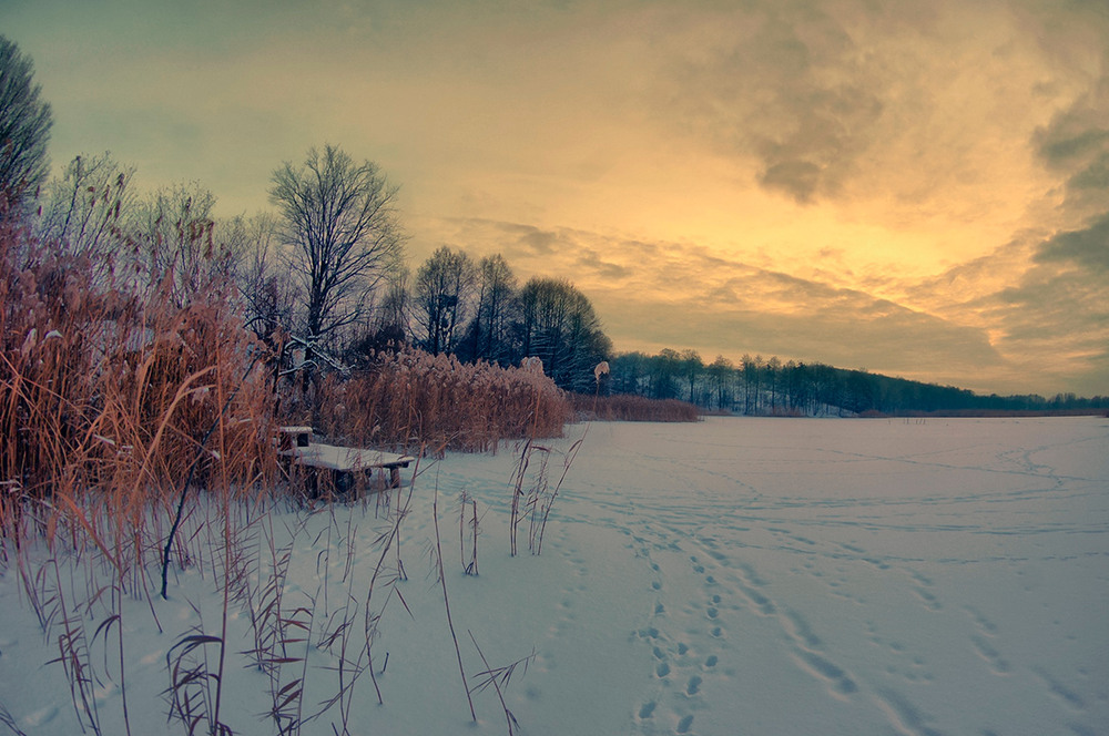 Фотографія На замерзлому ставку 05.01.26 / Валерий Савенко / photographers.ua