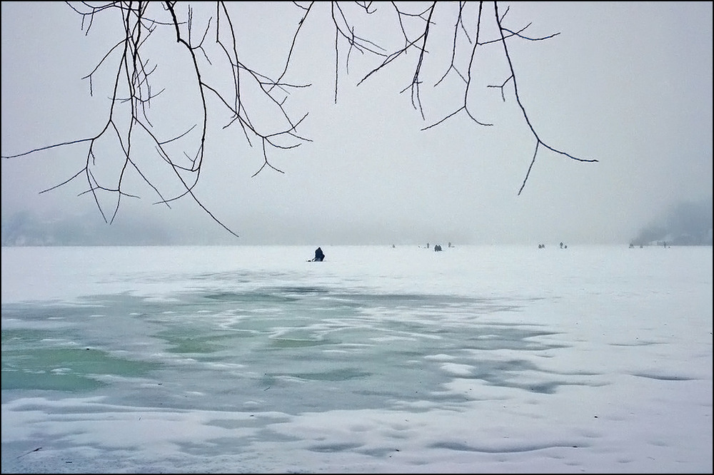 Фотографія Відлига, туман  06.01.26 / Валерий Савенко / photographers.ua