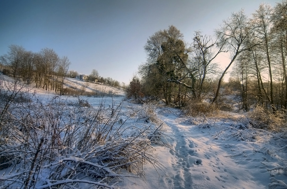 Фотографія 12.01.26 Мінус 11... / Валерий Савенко / photographers.ua