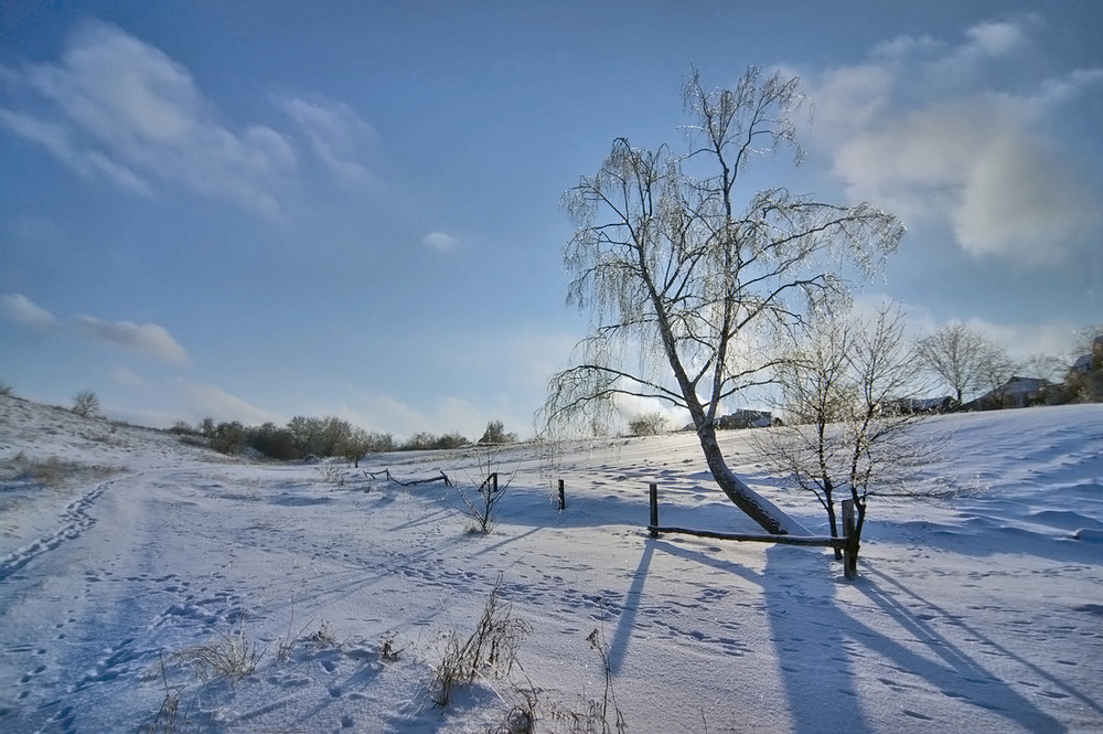 Фотографія 12.01.26 / Валерий Савенко / photographers.ua