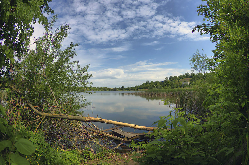 Фотографія 24.05.25 10:40 / Валерий Савенко / photographers.ua