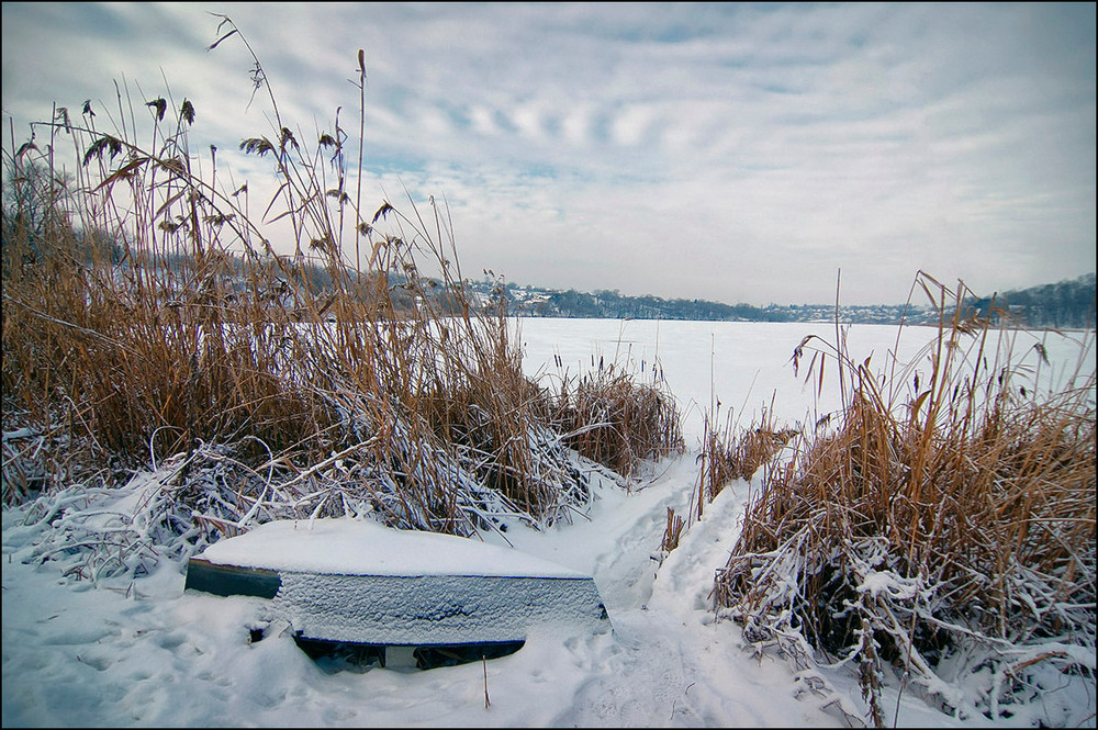 Фотографія Морозний день 13.01.26 / Валерий Савенко / photographers.ua