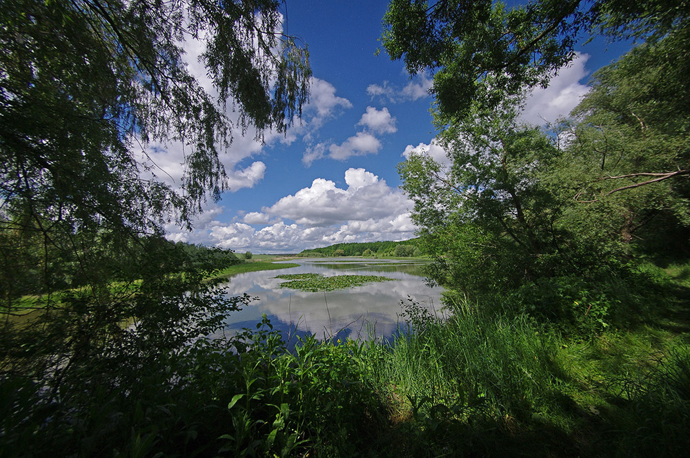 Фотографія Один із рідкісних сонячних днів травня... / Валерий Савенко / photographers.ua