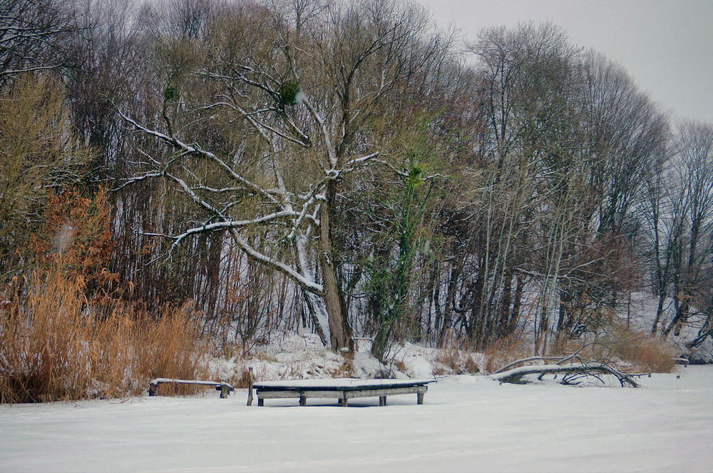 Фотографія 29.01.26 Мінус 10 похмуро... / Валерий Савенко / photographers.ua