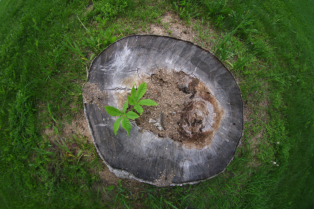 Фотографія *** / Валерий Савенко / photographers.ua