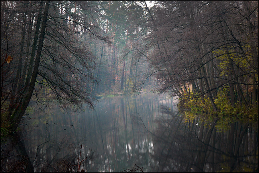Фотографія Лесное озеро / Валерий Савенко / photographers.ua