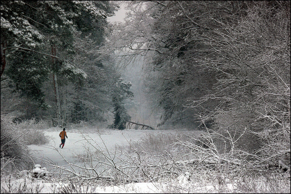 Фотографія Зимний марафон / Валерий Савенко / photographers.ua