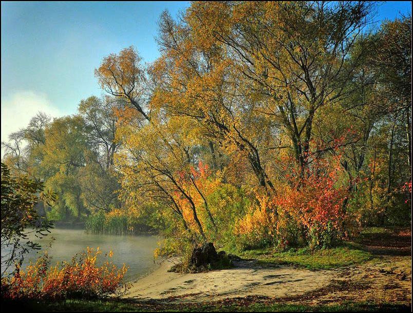 Фотографія *** / Валерий Савенко / photographers.ua