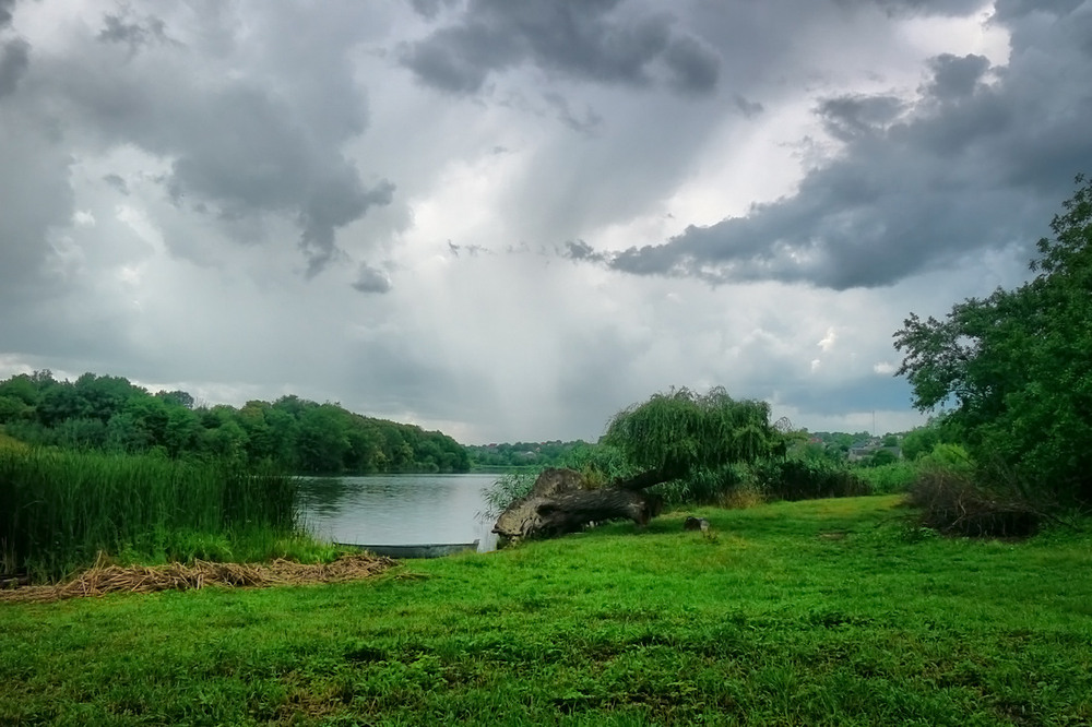 Фотографія Згадка про літо / Валерий Савенко / photographers.ua
