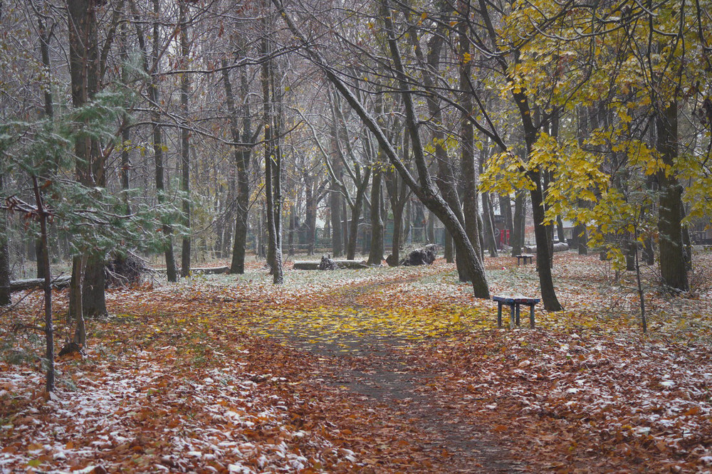 Фотографія Перший сніг / Валерий Савенко / photographers.ua