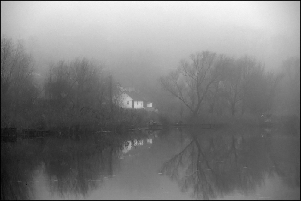 Фотографія 09.12.24 14:10 / Валерий Савенко / photographers.ua