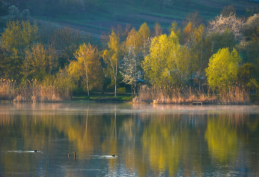 Фотографія Ранок 19.04.25 / Валерий Савенко / photographers.ua